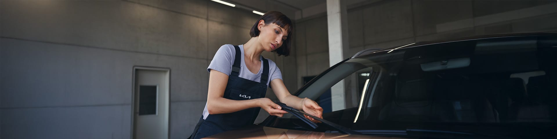 Mantenimiento y cuidado del vehículo